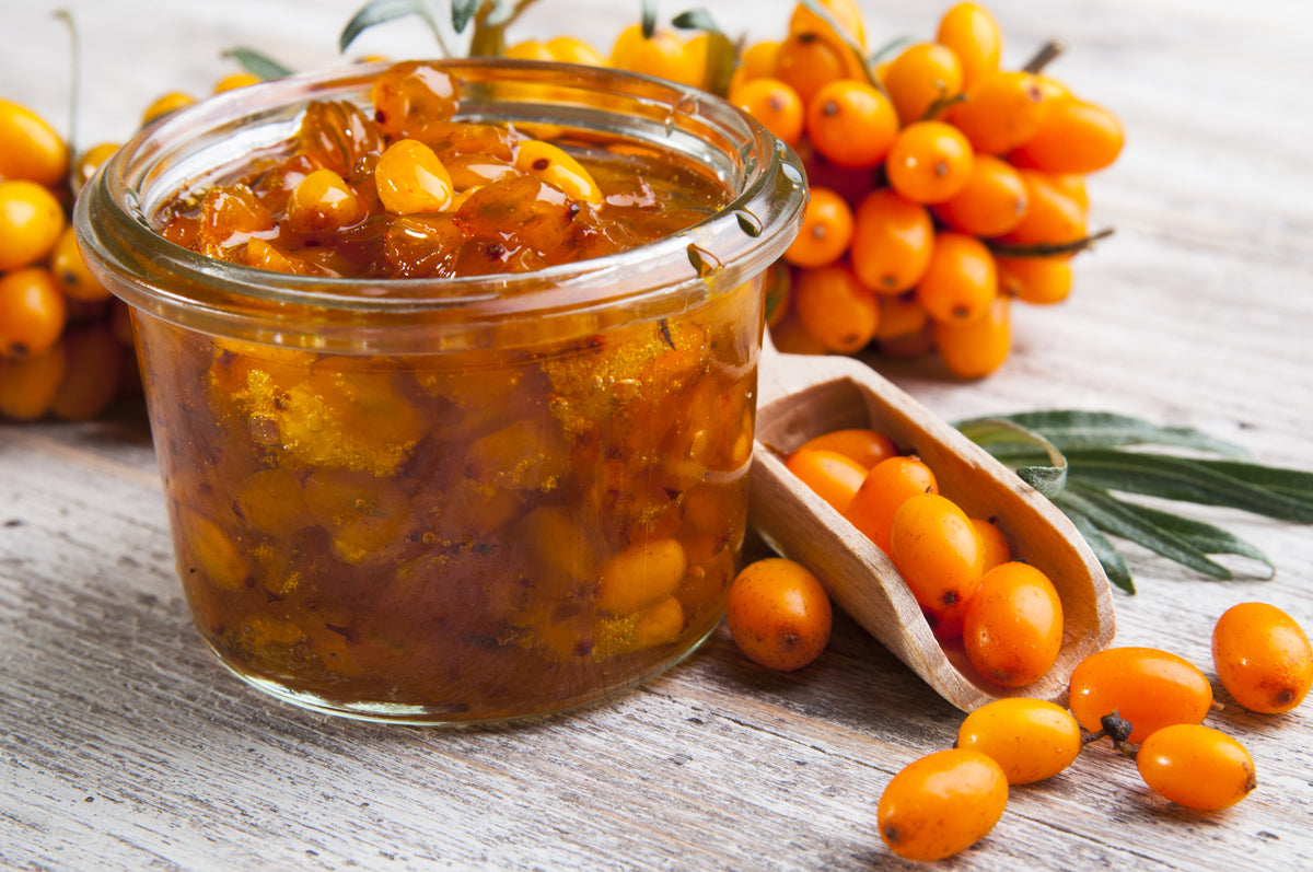 Hippophae rhamnoides 'BALSGÅRD Lotta' E (hon-pl), 1-pack