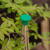 Växtstödsknopp 'Eye Guards' 8st