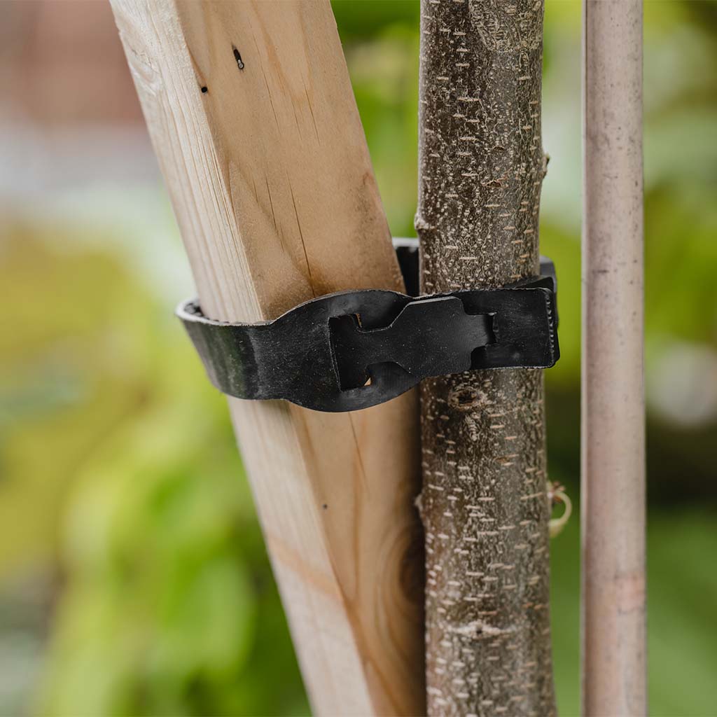 Växtstöd Trädband 30cm - 1st