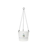 Greenville 'Hanging Basket' 24cm - White