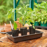 Odlingstråg 'Rigid' 22,5 x 36,5cm Svart