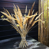 Hanataba 2-p Crystal Clear (Transparent)