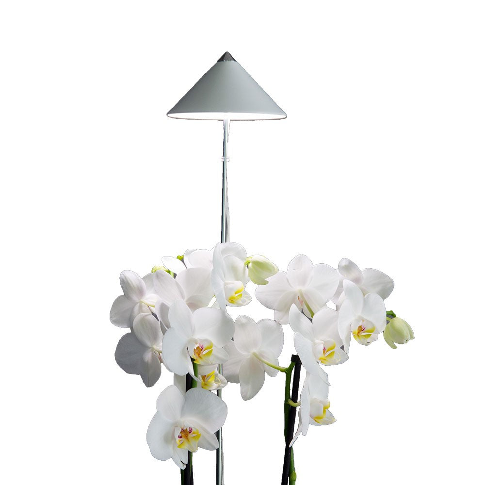 Sunlite 'Orchid' växtlampa, Vit 10W