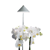 Sunlite 'Orchid' växtlampa, Vit 10W