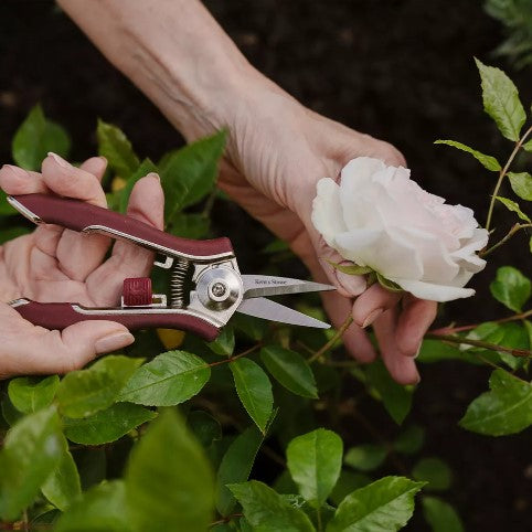 Kent & Stowe 'Garden Life' Blomstersax Röd