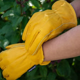 Kent & Stowe Trädgårdshandske Gul - Dam M