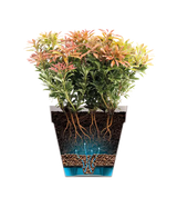 Loft Urban Round 25cm - White