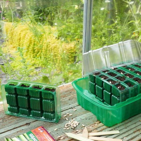 Miniväxthus Visiroot Djup '7x4 celler' 1st