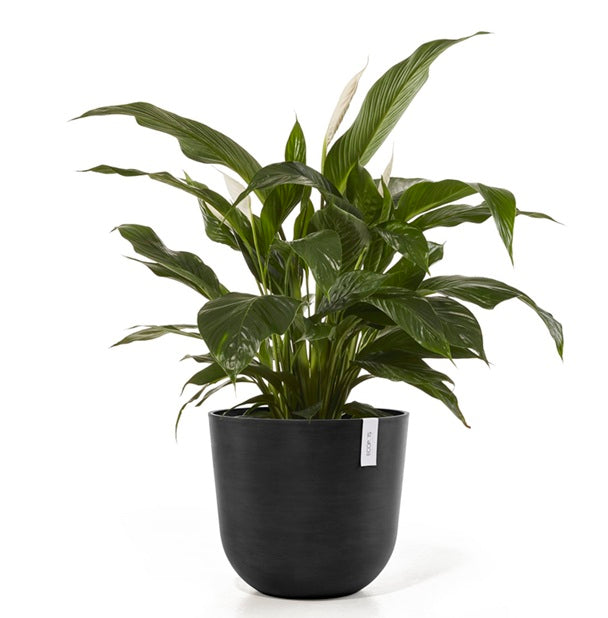 Kruka 'Oslo 45' Dark Grey D45cm