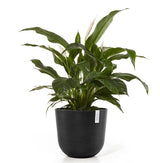Kruka 'Oslo 45' Dark Grey D45cm