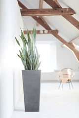 Kruka 'Rotterdam High 70' Grey H70,5cm