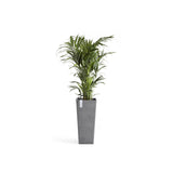 Kruka 'Rotterdam High 70' Grey H70,5cm