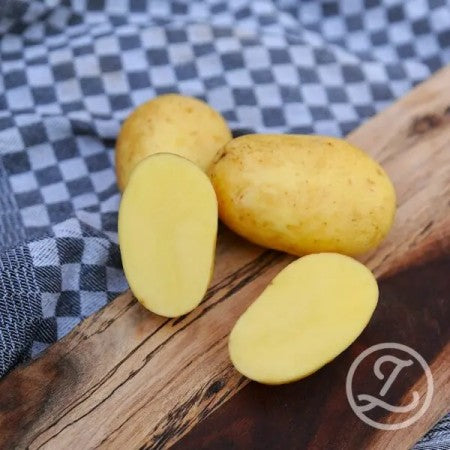 Sättpotatis - Fonia 1kg