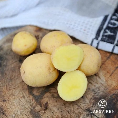 Sättpotatis - Paris 1kg