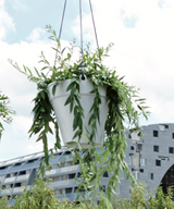 Loft Urban Ampel Hanging Basket D20cm Vit