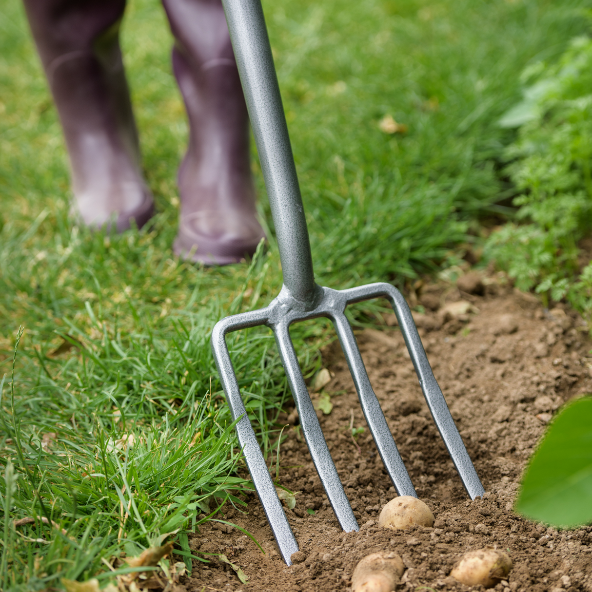 Kent & Stowe CS Rabattgrep 104cm