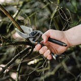 Kent & Stowe Sekatör 'Traditional Anvil'