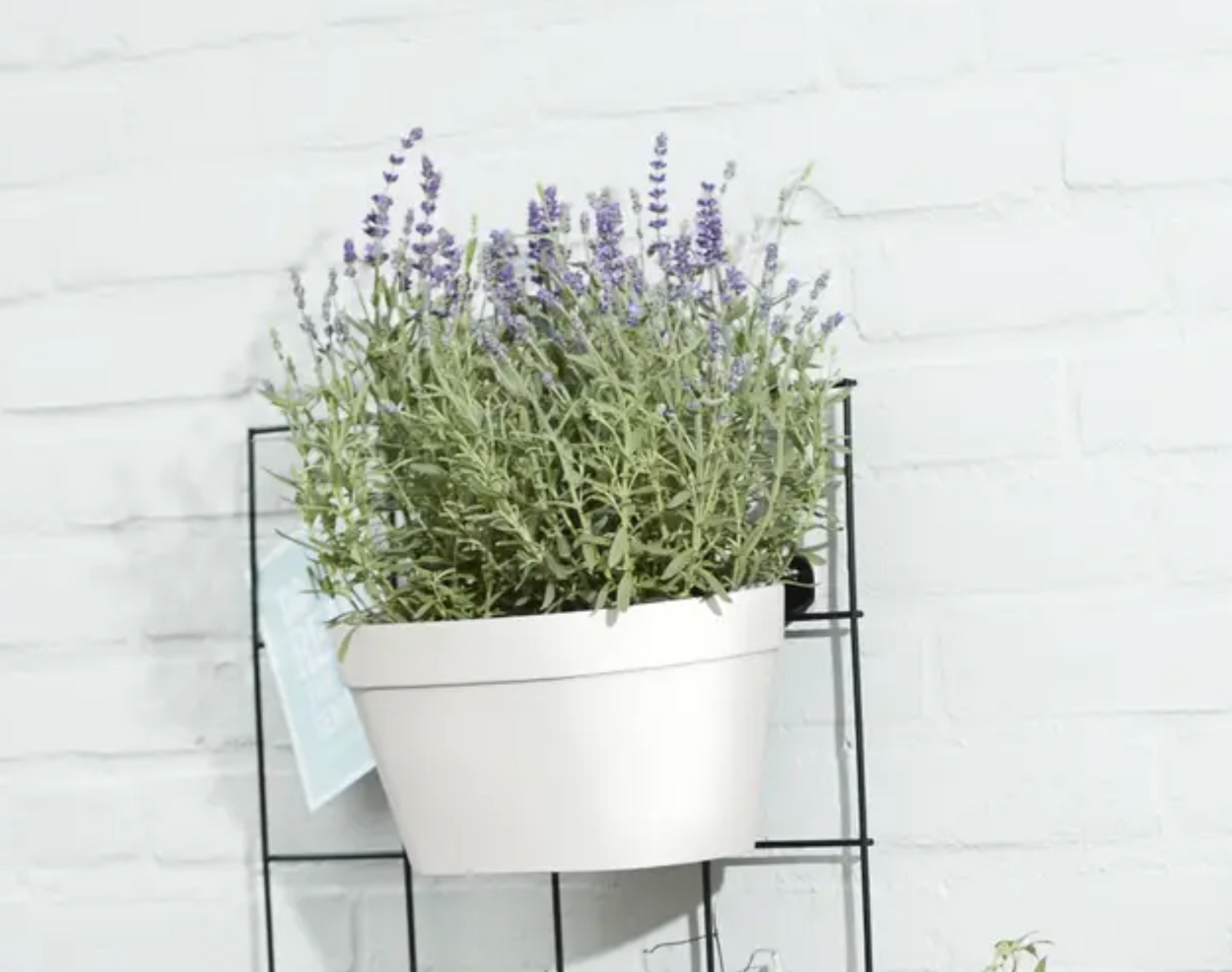 Loft Urban Green Wall DUO 28cm White
