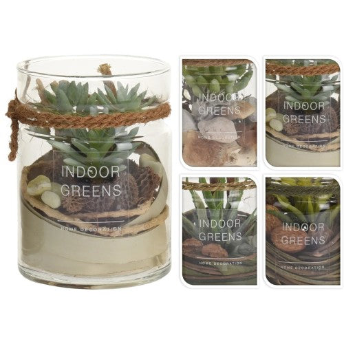 Succulent i Glasburk 1st