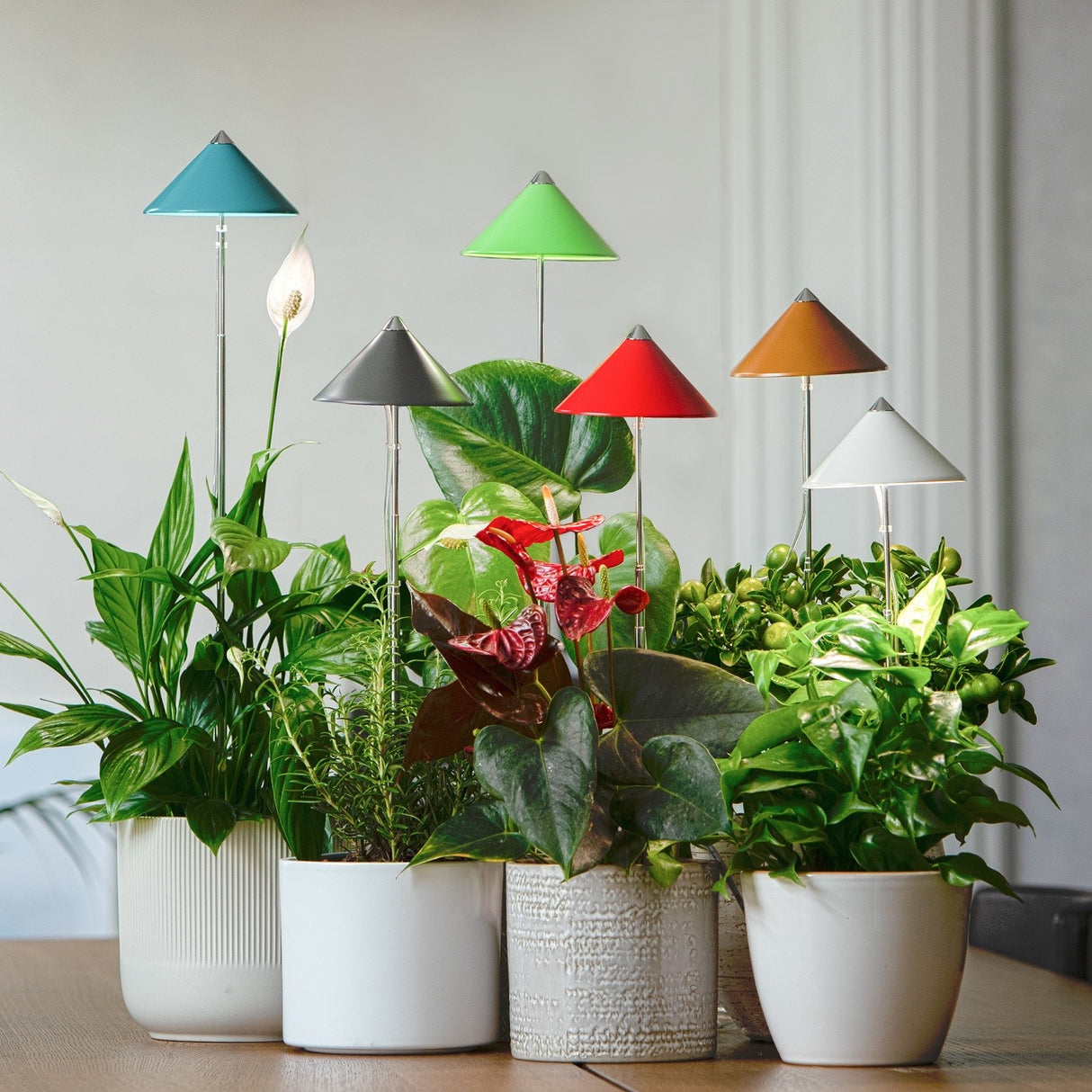 Sunlite växtlampa Rosa - 7W