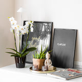 Sunlite 'Orchid' växtlampa, Vit 10W