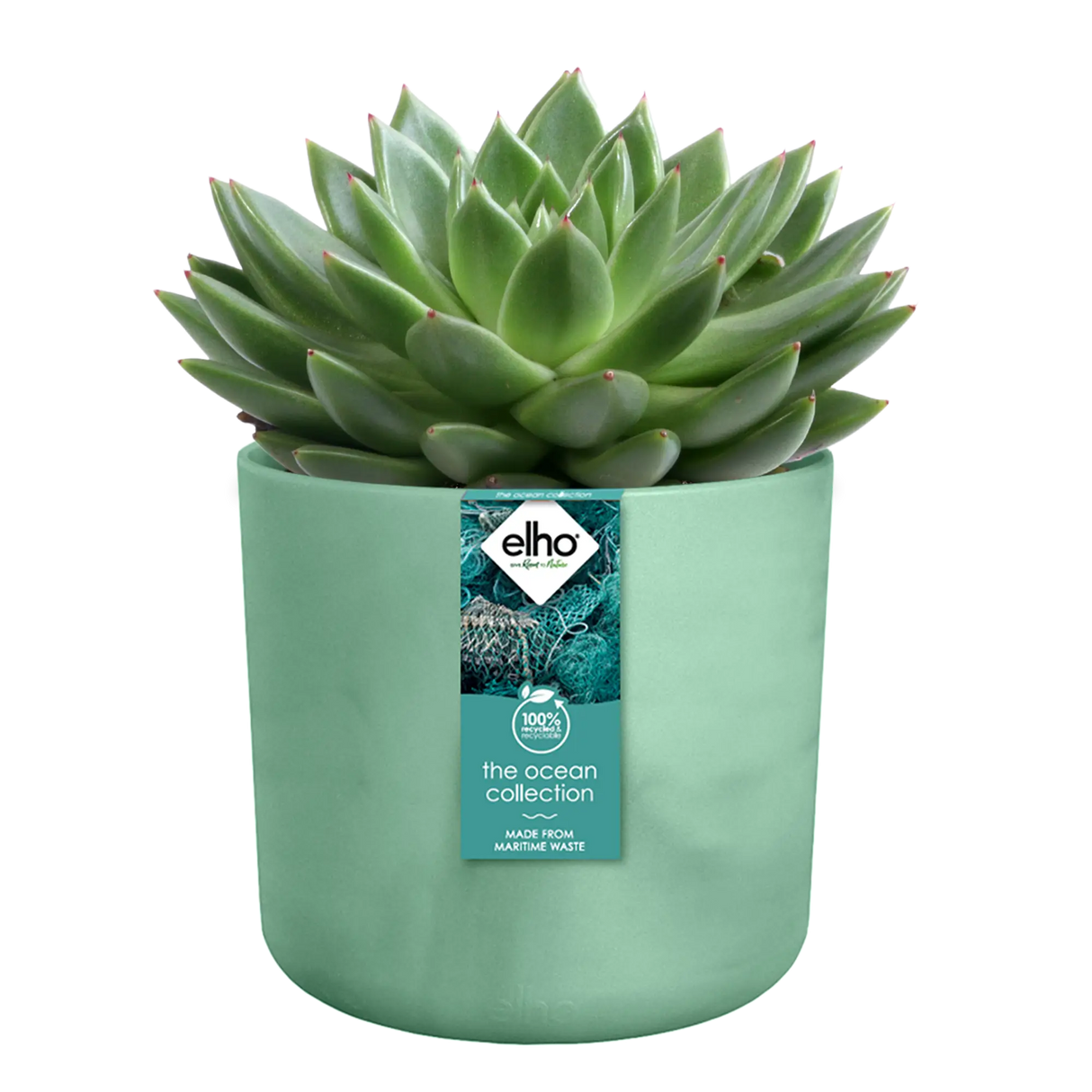 The Ocean Collection Round 14cm Pacific Green