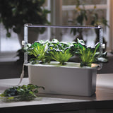 Växtbelysnings Hållare till 'Harvy 3'