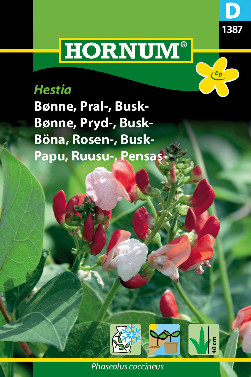 Rosenböna 'Hestia' frö