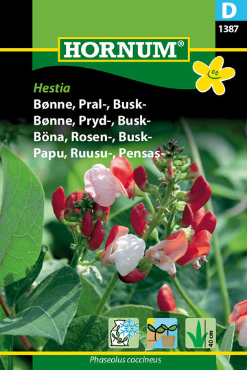 Rosenböna 'Hestia' frö