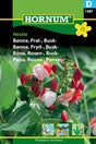 Rosenböna 'Hestia' frö