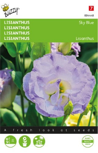 Prärieklocka 'Sky Blue'