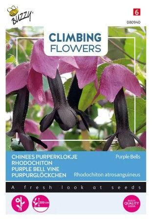 Törnrosas kjortel 'Purple Bells'