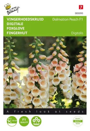 Fingerborgsblomma 'Dalmatian Peach' F1