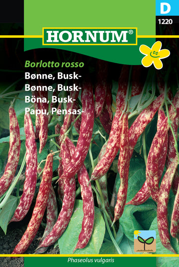 Buskböna 'Borlotto Rosso' frö