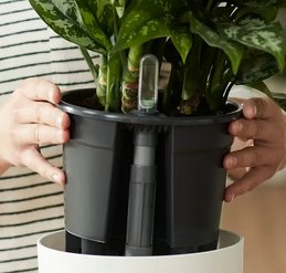 Självbevattning Insatskruka 17cm