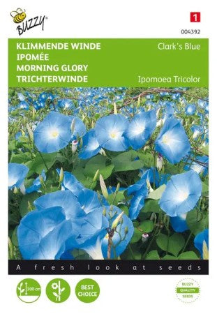 Blomman för Dagen 'Clark's Blue'