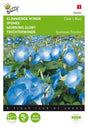 Blomman för Dagen 'Clark's Blue'