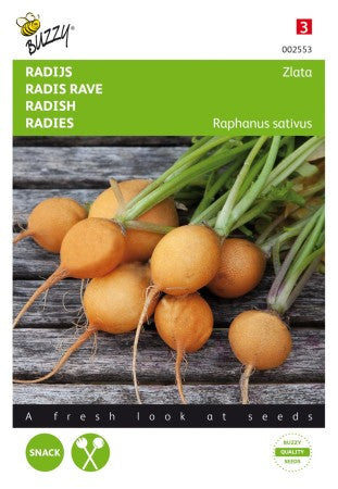 Rädisa 'Zlata Yellow Round'