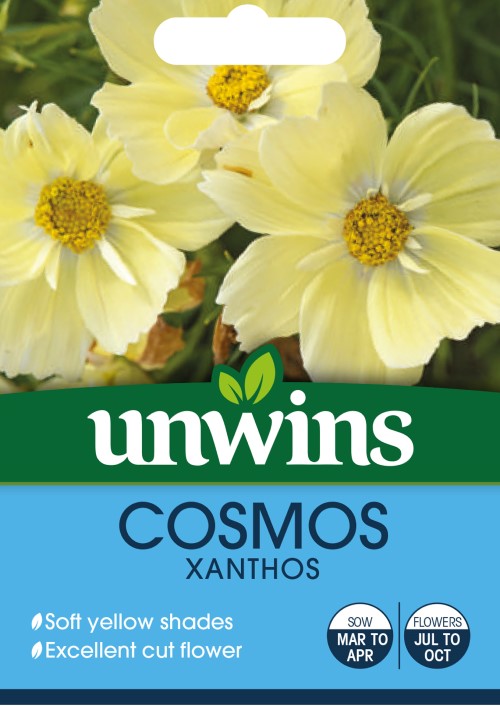 Rosenskära 'Xanthos'