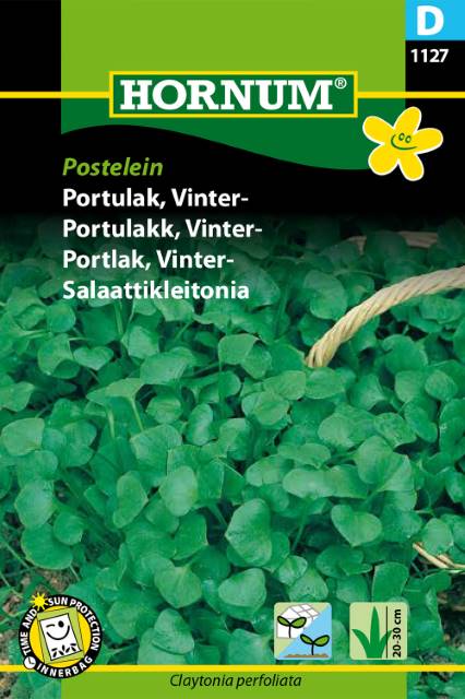 Vinterportlak 'Postelein' frö