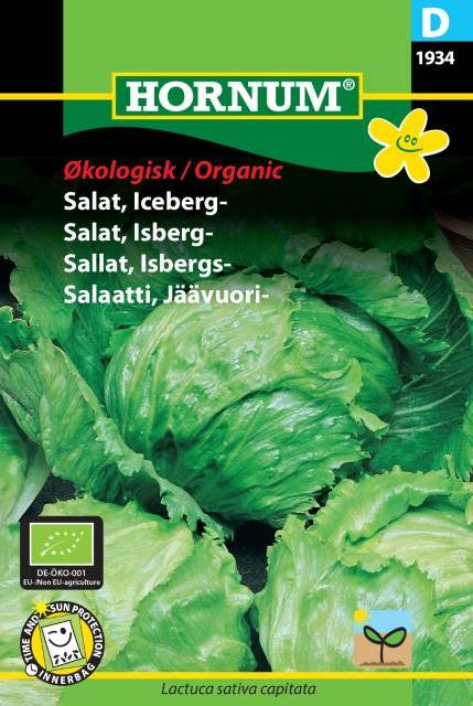 Isbergssallat 'Saladin' EKO