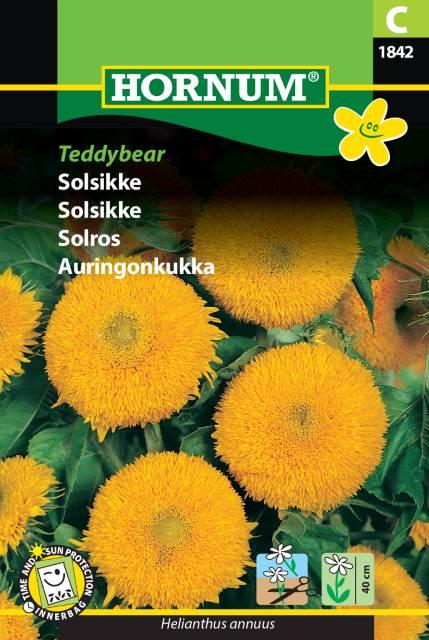 Solros 'Teddybear' frö