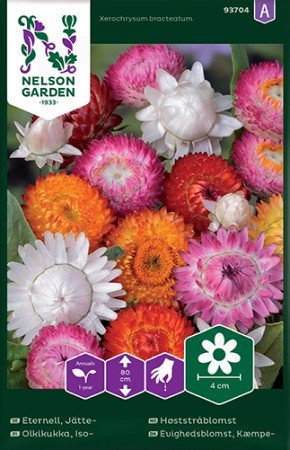 Jätteeternell Hög Mix