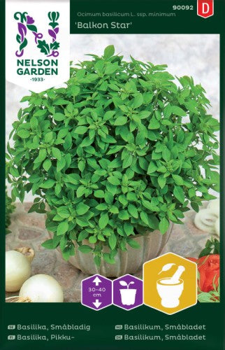 Basilika 'Balkon Star'