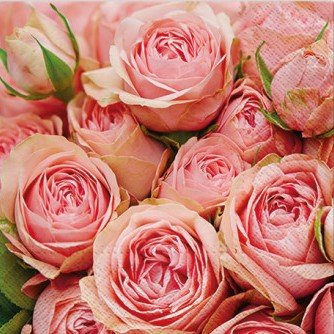 Servett 'Roses'