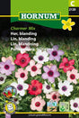 Blomsterlin 'Charmer Mix'