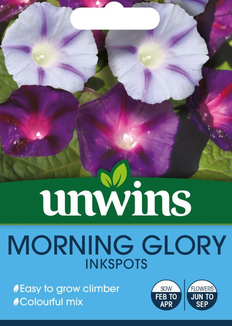 Blomman för dagen 'Inkspots'