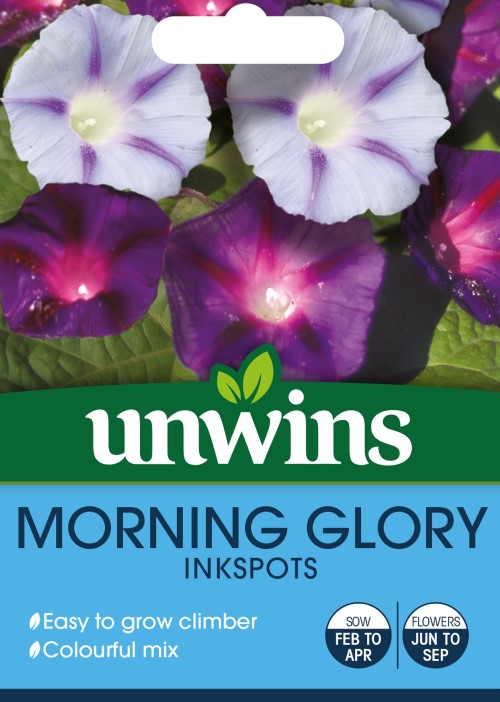 Blomman för dagen 'Inkspots'