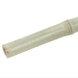 Växtstöd Bambupinne 60cm - 5st