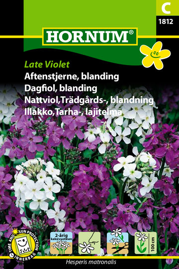 Trädgårdsnattviol Mix 'Late Violet' frö